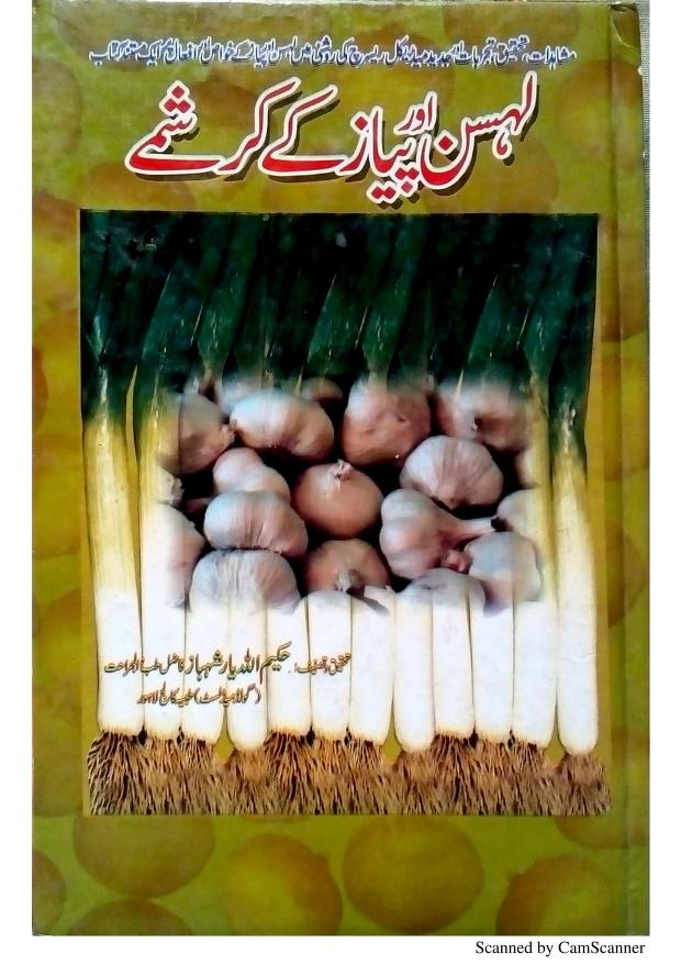 لہسن اور پیاز کے کرشمے