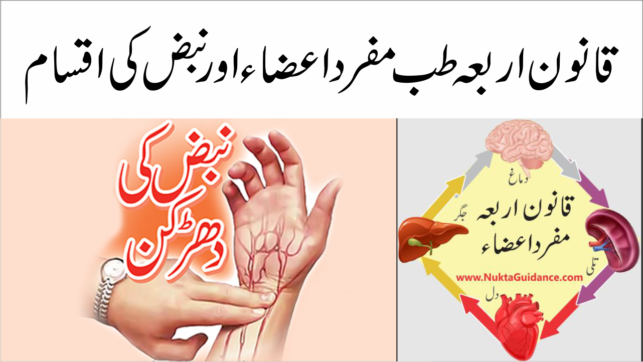 قانون اربعہ طب مفرداعضاء اور نبض