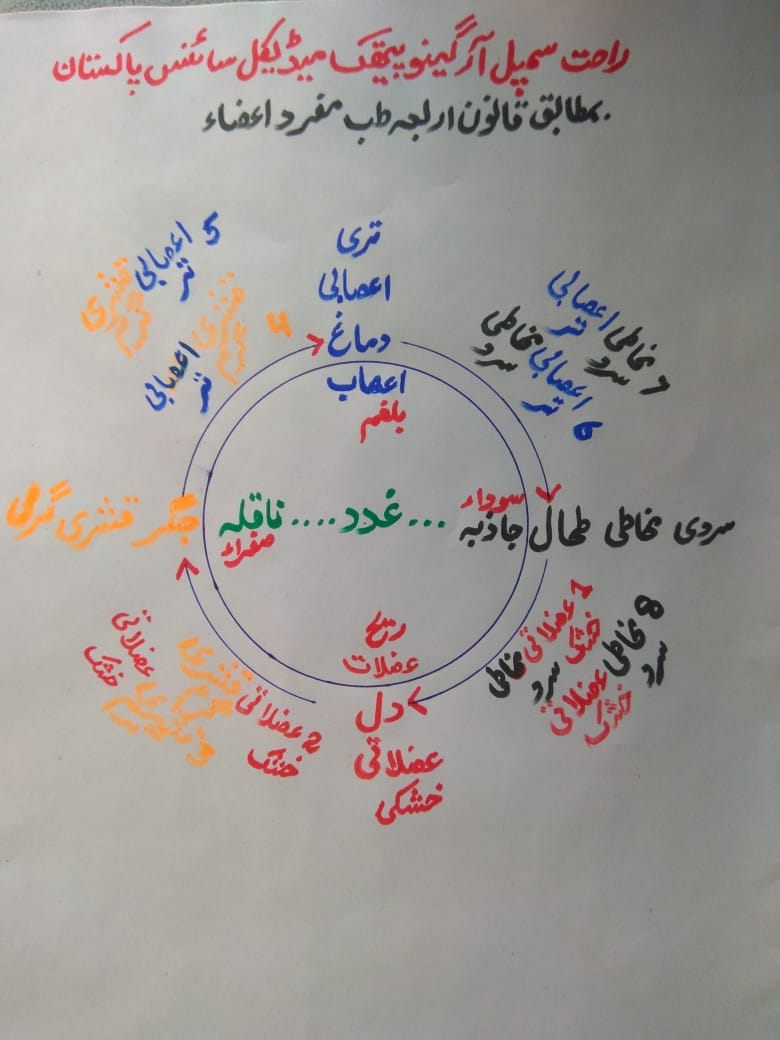 تشخیص بطریق قانون مفرد اعضاء