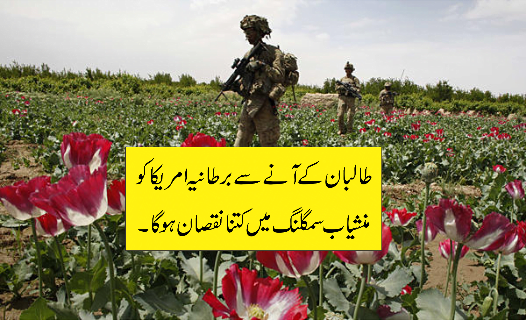 برطانیہ امریکا اور افیون کا کاروبار