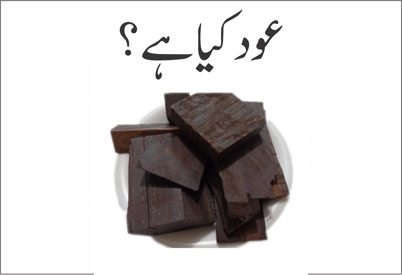 عود کیا ہے