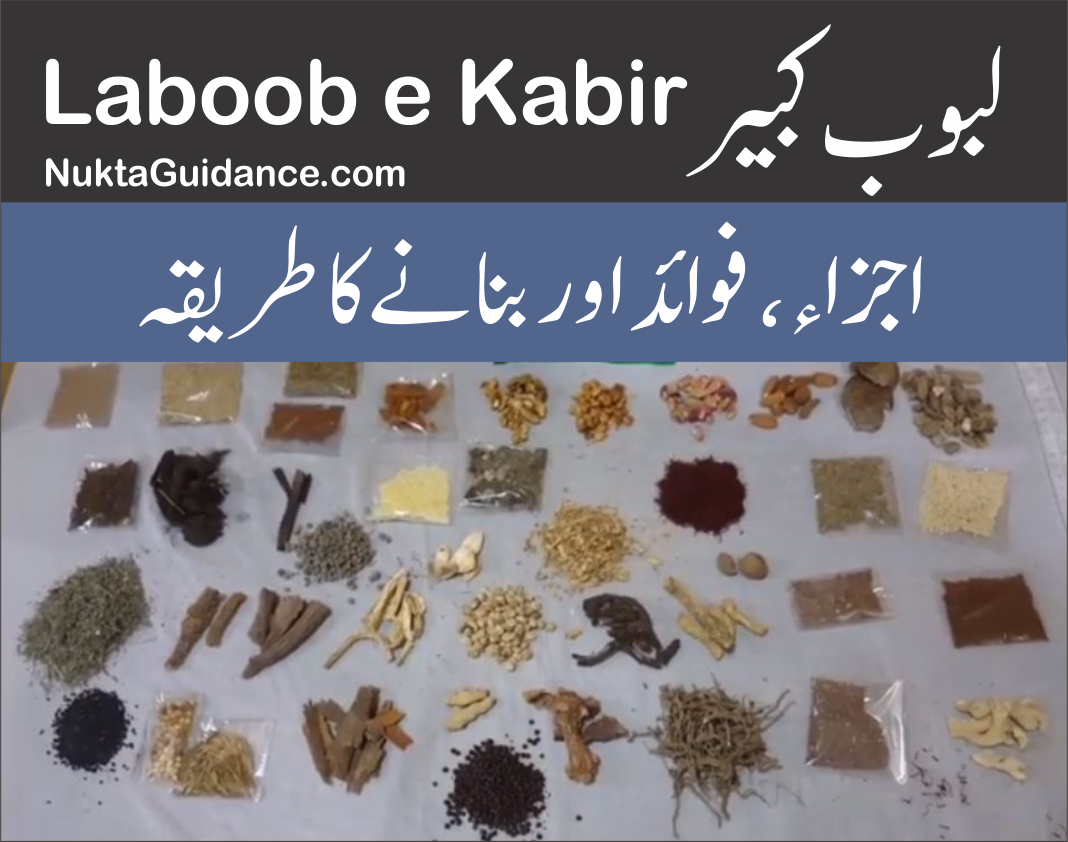 لبوب کبیر اجزاء، فوائد اور بنانے کا طریقہ