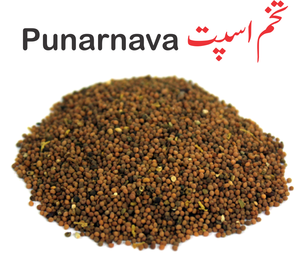 تخم اسپت