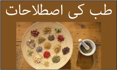 طب کی اصطلاحات