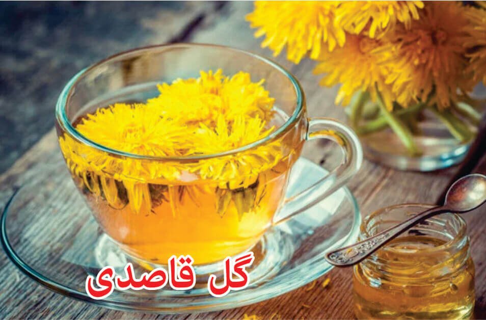 dandelions گل قاصدی ککروندا
