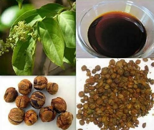 مال کنگنی