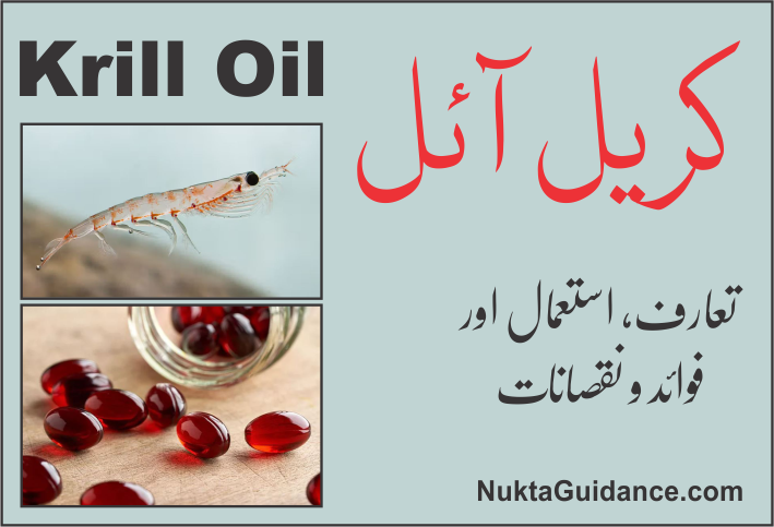کریل آئل (Krill Oil) کے فوائد