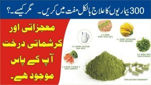 Read more about the article سہانجنا کے فوائد. تین سو بیماریوں‌کا علاج