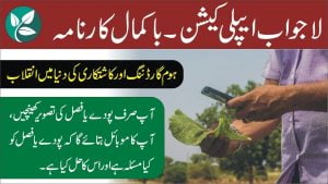 Read more about the article لاجواب ایپلی کیشن