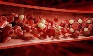 Read more about the article خون پیدا کرنے والی غذائیں