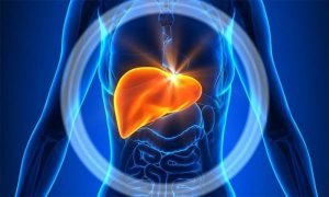 Read more about the article جگر پر چربی چڑھنے کا خطرہ بڑھانے والی عام غذا