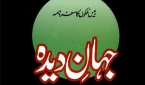 Read more about the article جہاں دیدہ