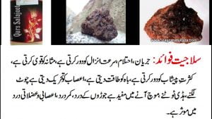 Read more about the article سلاجیت کیاہے ، کیسے حاصل کی جاتی ہے اور فوائد کیا ہیں