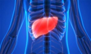 Read more about the article جگر کو صحت مند رکھنے میں مددگار غذائیں