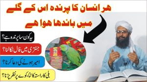 Read more about the article ہر انسان کا پرندہ اس کے گلے میں لٹک رہا ہے