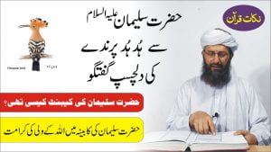 Read more about the article ہُد ہد پرندے کی گفتگو