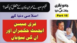 Read more about the article مسلمان حکمران اور فری میسن پارٹ16