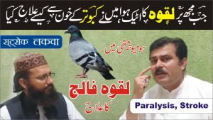 Read more about the article لقوہ کا علاج کبوتر کے خون سے