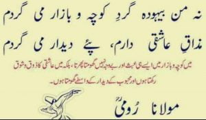 Read more about the article نہ من بیہودہ گردِ کوچہ و بازار می گردَم