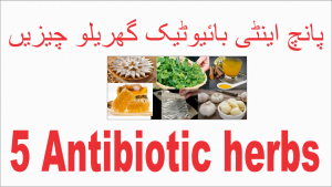 Read more about the article اینٹی بائیوٹک کا کام کرنے والے 5 قدرتی اجزاء