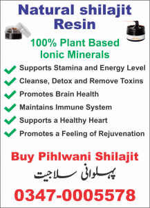 Natural pihlwani shilajit 1