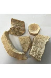 Read more about the article قسط الہندی/ قسط شیریں/ قسط البحری کے فوائد