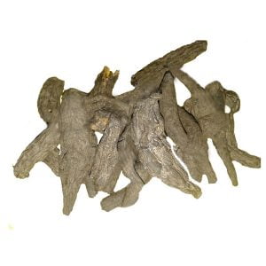 Read more about the article جدوار