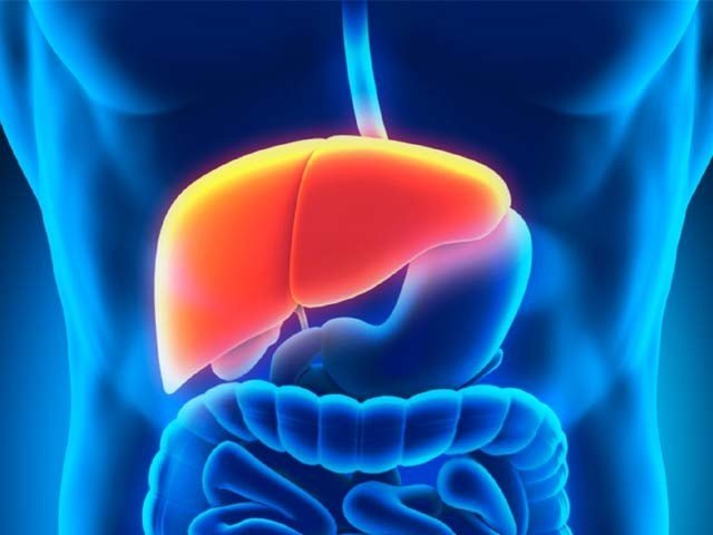 جگر کیا ھے۔۔۔؟ 11