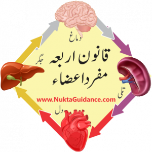 قانون اربعہ طب مفرد اعضاء Qanoon Arba Tibb Mufrad Aza 1 3