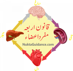 قانون اربعہ طب مفرد اعضاء Qanoon Arba Tibb Mufrad Aza 2 1