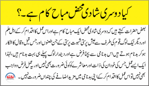 Read more about the article کیا دوسری شادی محض مباح کام ہے