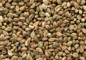 celery seed اجمود کرفس اجوائن 1