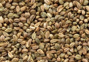 celery seed اجمود کرفس اجوائن 2