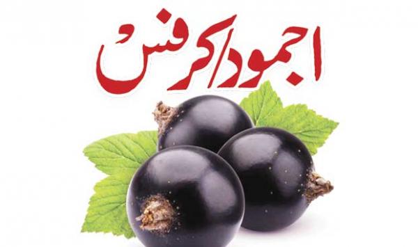 اجمود کرفس اجوائن 17