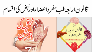 Read more about the article قانون اربعہ طب مفرداعضاء اور نبض