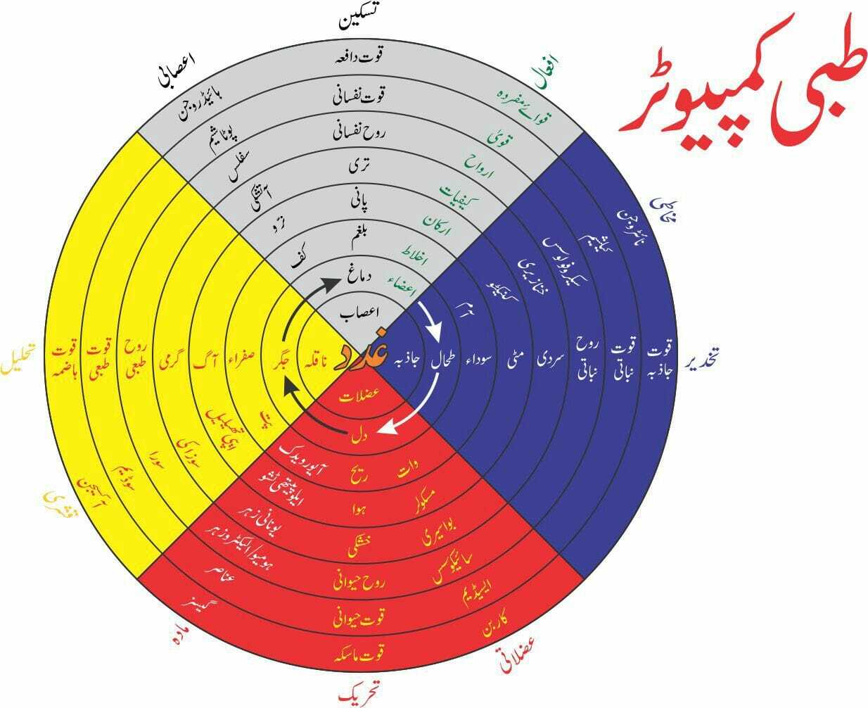 اخلاط کی زیادتی کی علامات