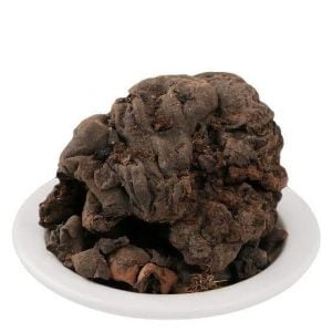 Read more about the article موچرس