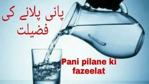Read more about the article کیا آپ پانی کی سبیل لگانا چاہتے ہیں