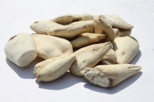 कोलचिकम سرنجاں شیریں 2