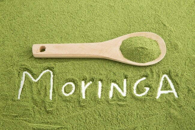 Moringa سہاجنا 22