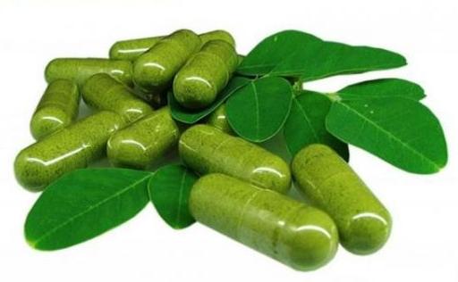 Moringa 1
