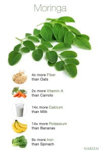 moringa 1 2