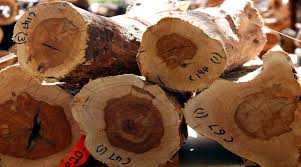 صندل سفید 2 sandal صندل 2