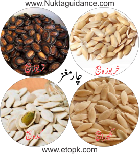 Read more about the article چار مغز کیا ہے