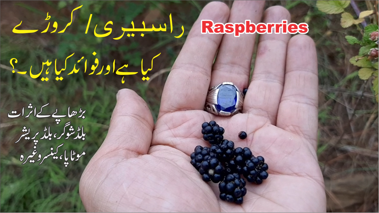Raspberries کروڑے راسبیری کے فوائد 3