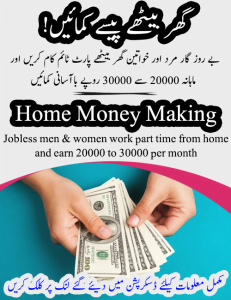 Read more about the article گھر بیٹھے لاکھوں کمائیں