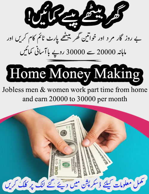 گھر بیٹھے پیسے کمائیں Online Erning 3