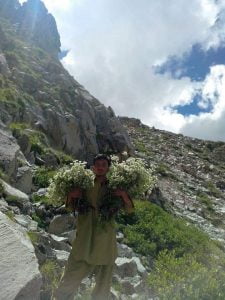 3 شمدون shamdon 2 5