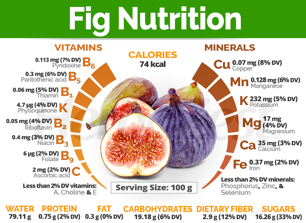 Health Benefits of Fig Nutrition 1