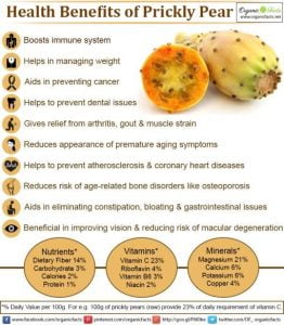 prickly pear nutrition facts 5